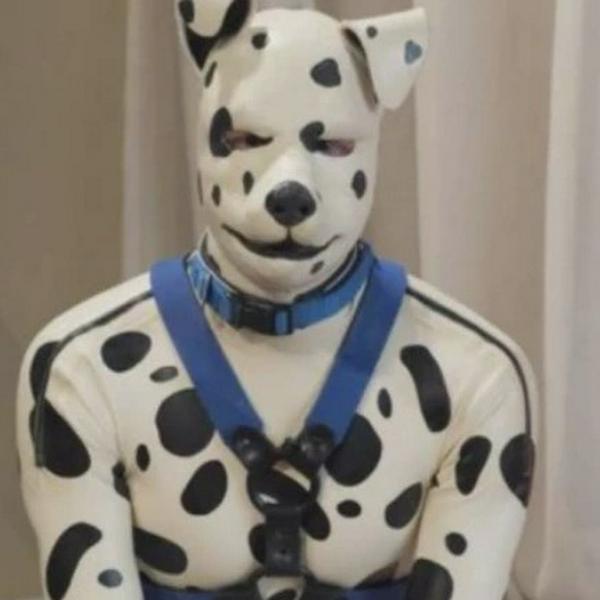 imagen principal home