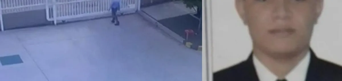 Imagen representativa del artículo