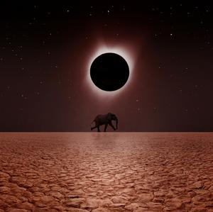 imagen nota inferior