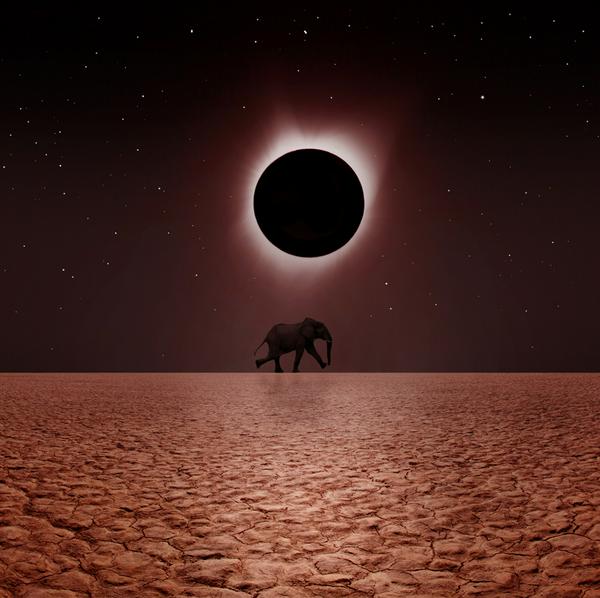 imagen principal home