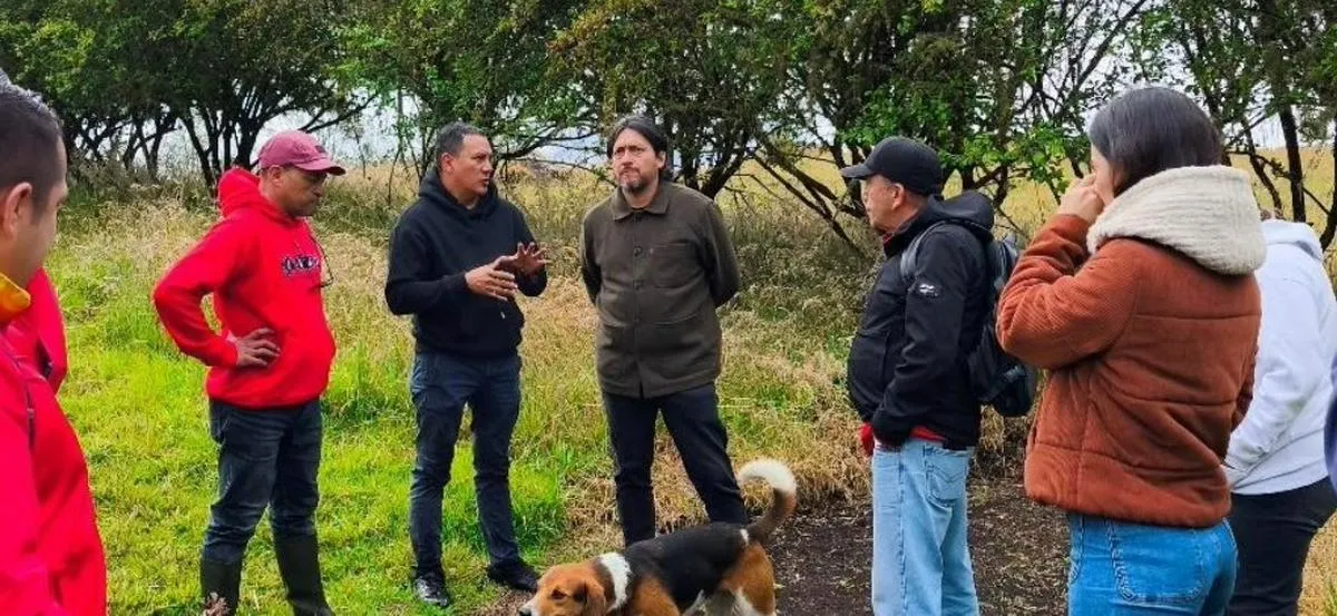 Imagen representativa del artículo