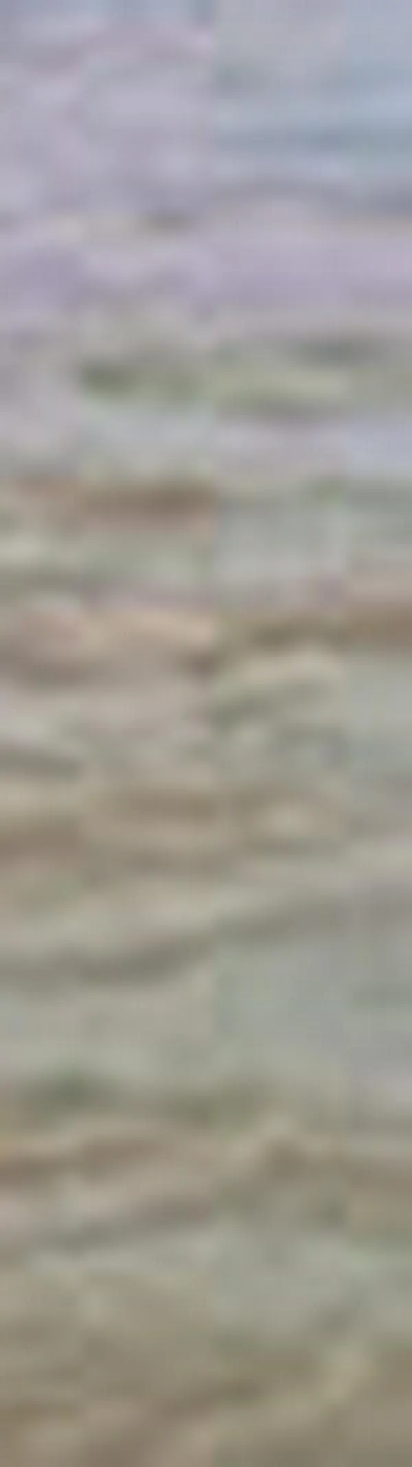 Río Cauca en alerta naranja en Cali: activan vigilancia y recorridos en zonas aledañas