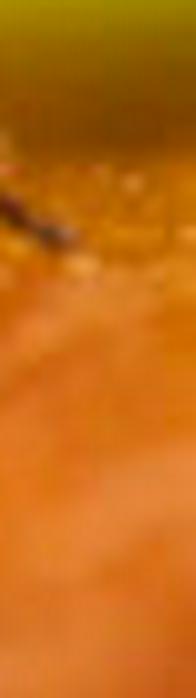 Vacuna contra el dengue para niños de 9 años: así se aplicará