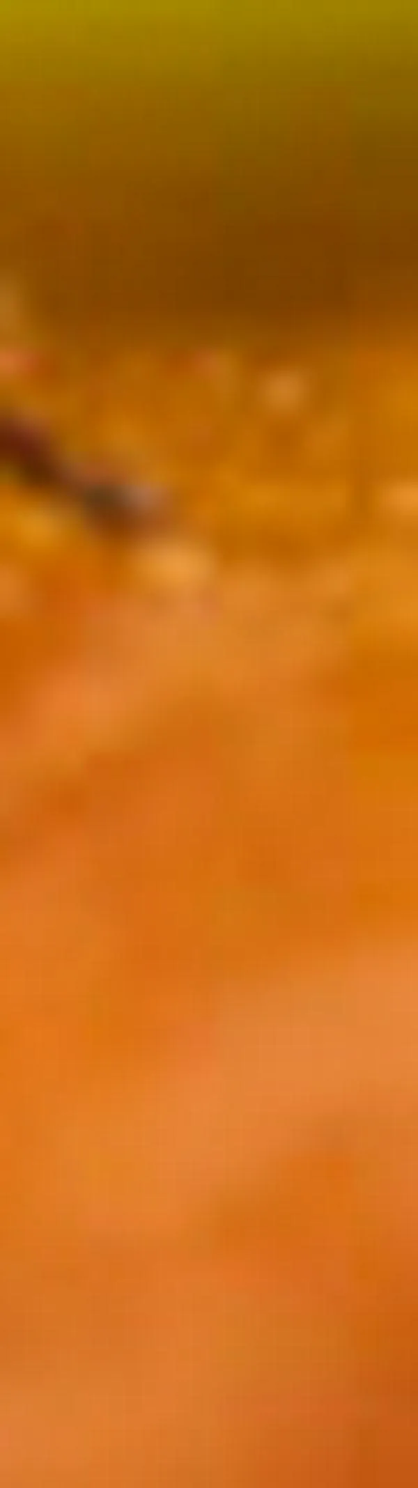 Vacuna contra el dengue para niños de 9 años: así se aplicará