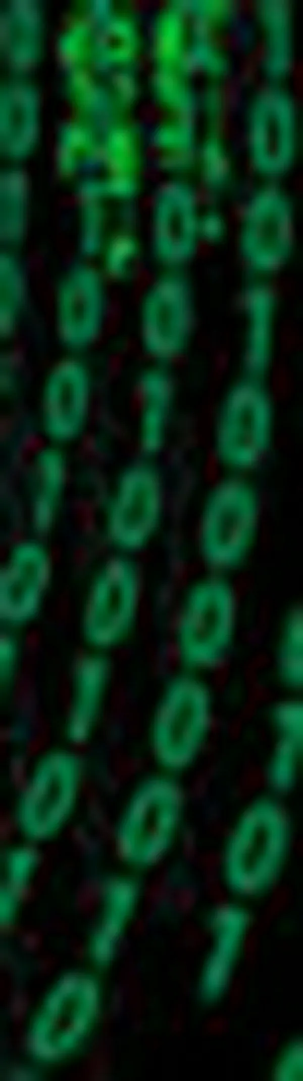 Hackearon mi cuenta: ¿qué hacer en los primeros 15 minutos?