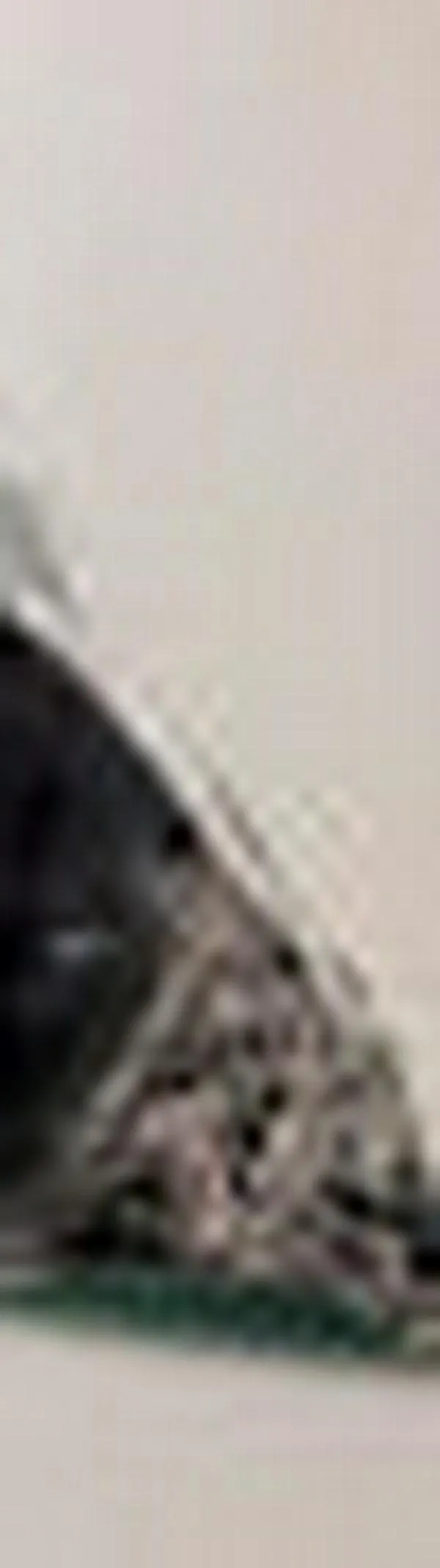 Planta comunitaria de aprovechamiento de residuos convierte desechos orgánicos en compost en el oriente de Cali