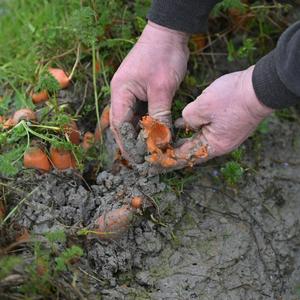 imagen nota inferior