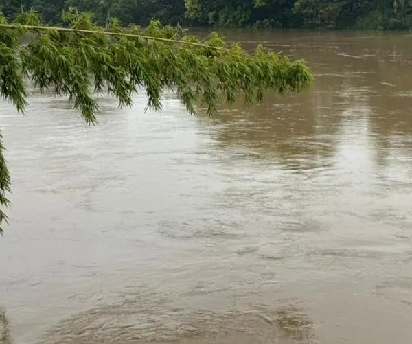 Conozca cuál es el crecimiento de los ríos en Cali tras el aumento de lluvias