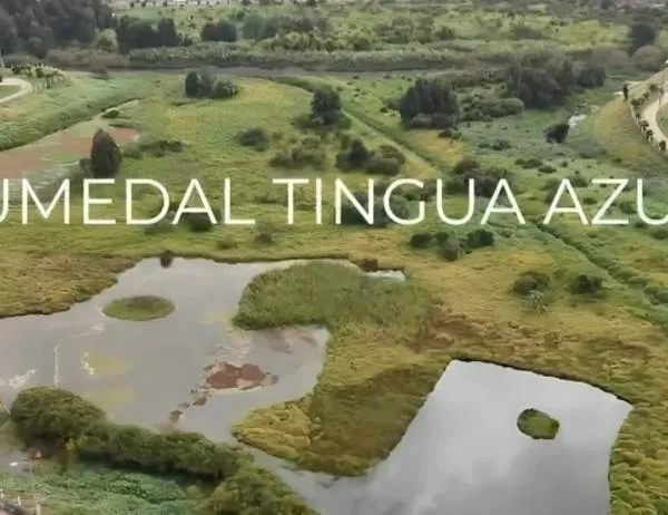 Tingua Azul: el humedal que protege el equilibrio hídrico de Bogotá 