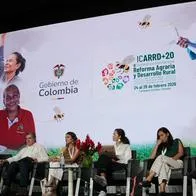 Agencia Nacional de Tierras