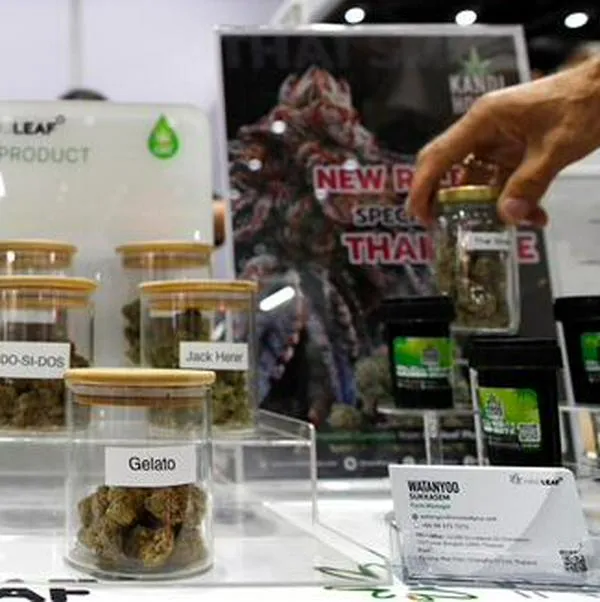 Cuenta regresiva en Bogotá: Invima define el futuro del cannabis medicinal en marzo