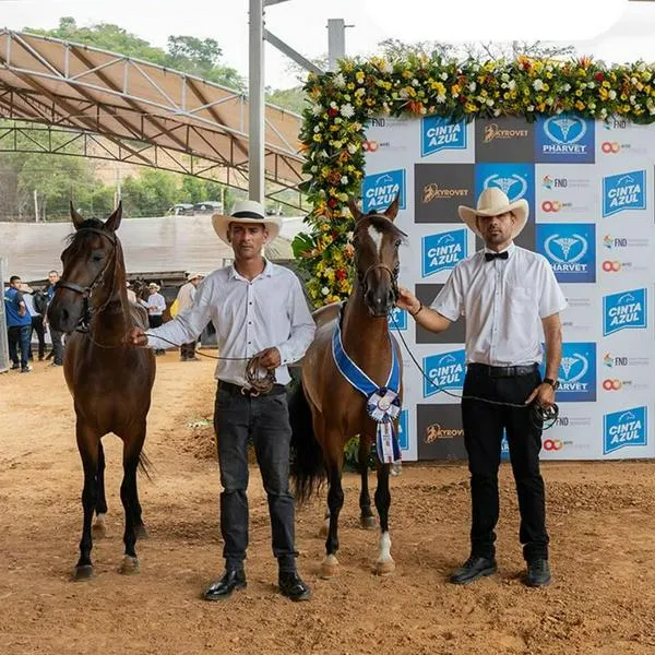 Bucaramanga relincha con dinero que le entra por evento que movió la aguja del turismo con la Feria Equina. 