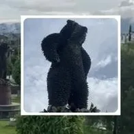 Qué representa la escultura de balas y municiones en Colombia: Oso de anteojos