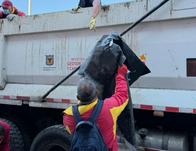 Jornada ambiental en Los Mártires recupera 1.800 m² e incauta 9 armas en La Carrilera 