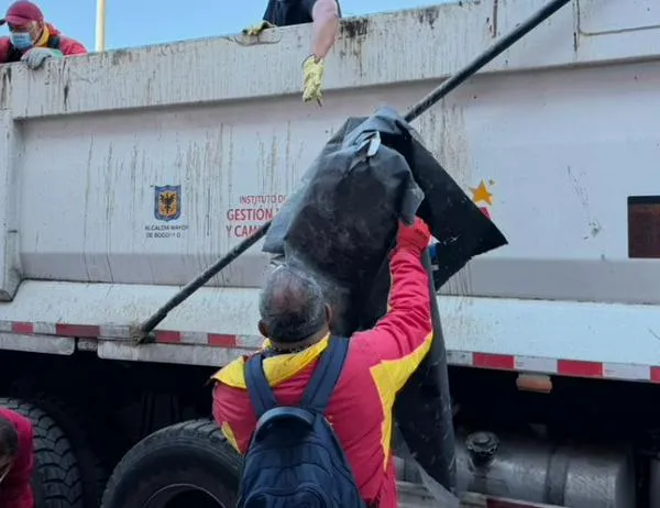 Jornada ambiental en Los Mártires recupera 1.800 m² e incauta 9 armas en La Carrilera 