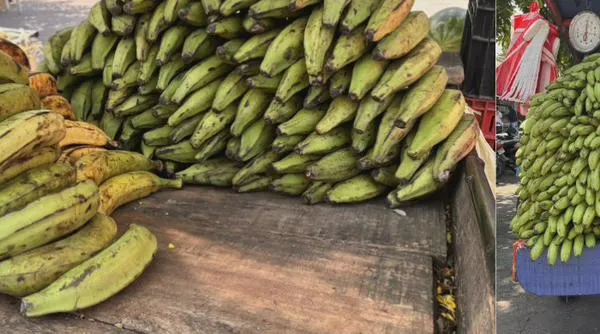 ¿Qué comer si el plátano y la yuca están “por las nubes” en Valledupar? Tres opciones para reemplazarlos