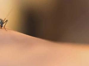 imagen nota inferior