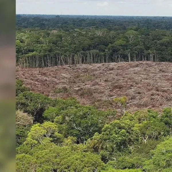 Coca, ganadería y vías ilegales golpean la Amazonía colombiana
