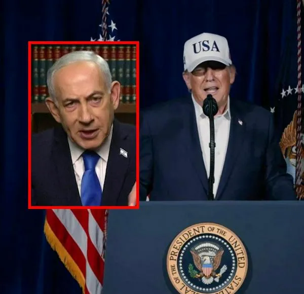 imagen principal home