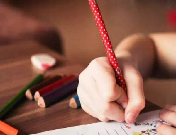 Huellas de la naturaleza: arte y lectura para toda la familia en la Biblioteca Virgilio Barco de Bogotá 