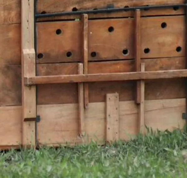 Jaguar liberado por la CAR ha recorrido casi 600 km y se acerca a frontera con Venezuela
