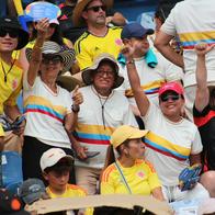 Hinchas Selección Colombia