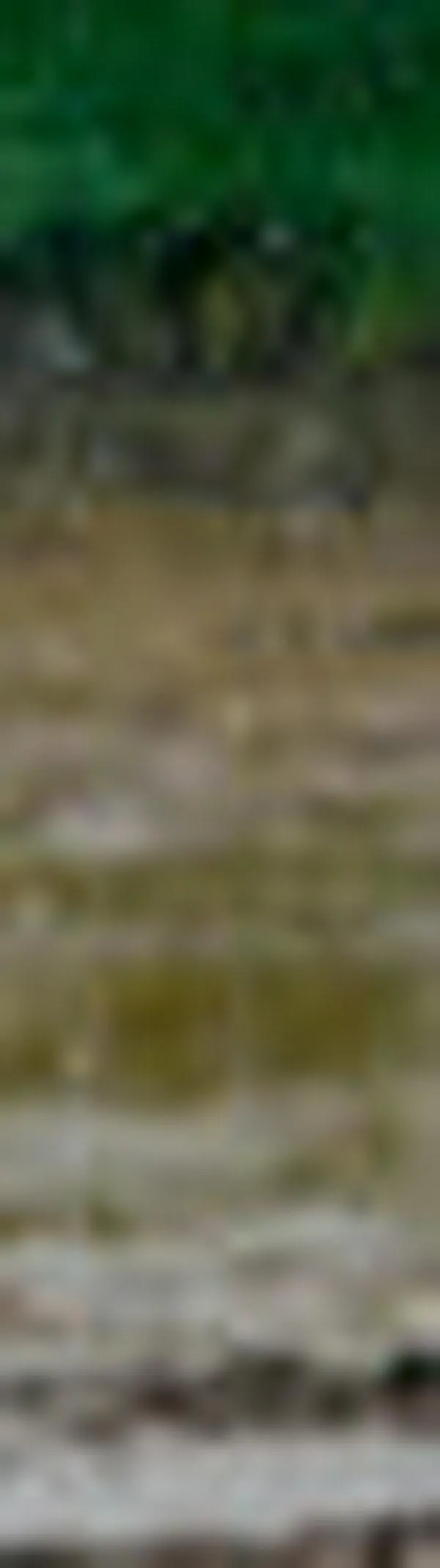 Habrá lluvias hasta abril y más calor