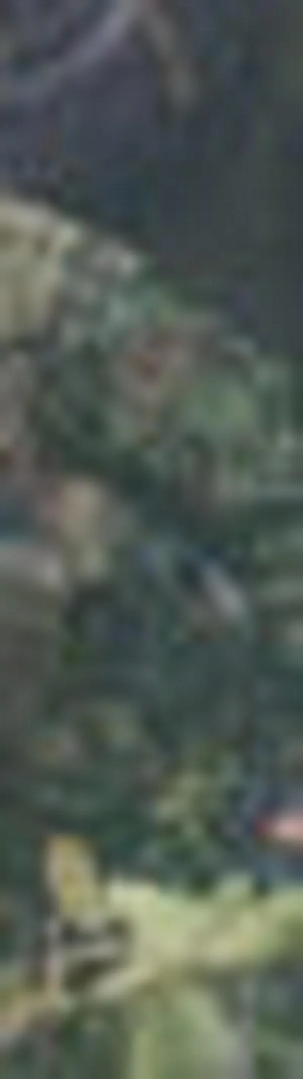 Investigan accidente de vehículo del Ejército en Cauca