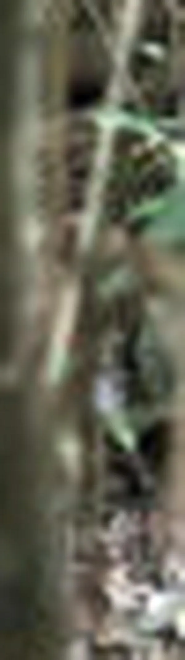 Rescatan familia que había sido retenida en vía Panamericana