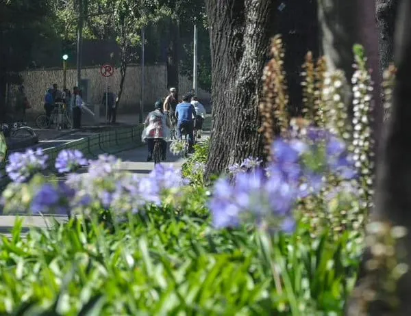 Aprende a verificar los taxis autorizados en Bogotá con Mi Movilidad a un Clic 
