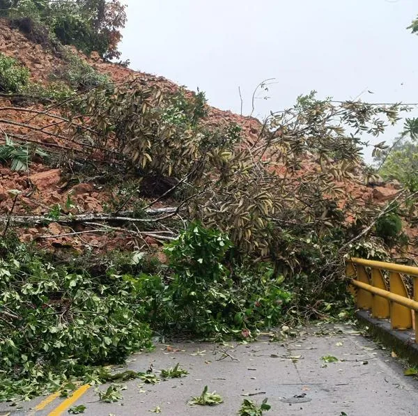 Vía Medellín-Bogotá ya reabrió tras días de cierre por derrumbe