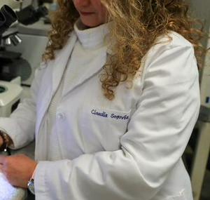 imagen nota inferior