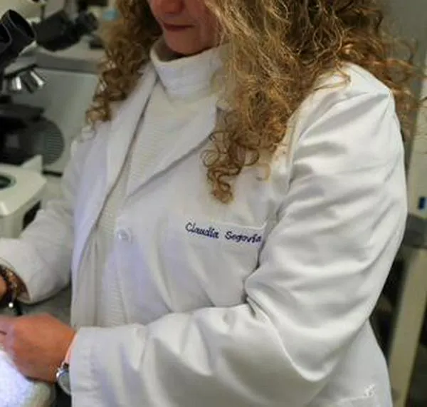 Abren convocatoria para estudiar y trabajar en España, ¿cómo aplicar?