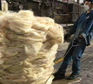 imagen nota inferior