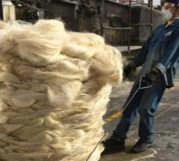 Empaques del Cauca, empresa de tradición en Popayán, entra en liquidación tras fracasar su reorganización