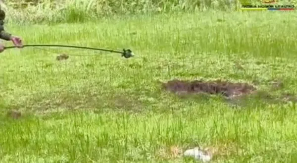 Tensión en zona limítrofe entre Risaralda y Chocó: Ejército desactiva explosivos que lanzó el Eln 