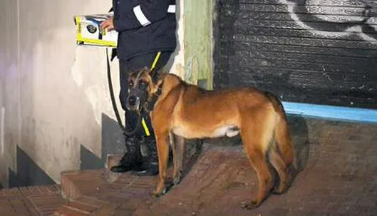 Radican ley para retirar perros de labores de seguridad en centros comerciales y conjuntos