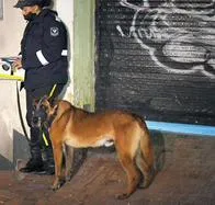 Radican ley para retirar perros de labores de seguridad en centros comerciales y conjuntos