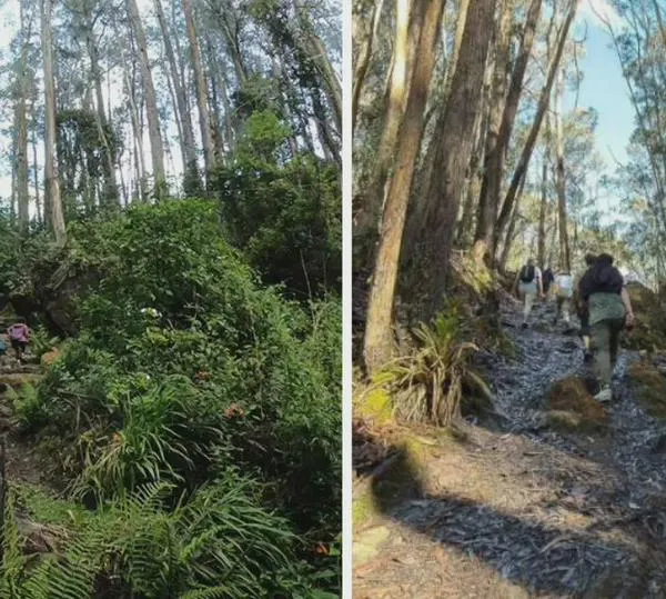 Cierran acceso a senderos de Cerros Orientales de Bogotá por esta razón: prográmese