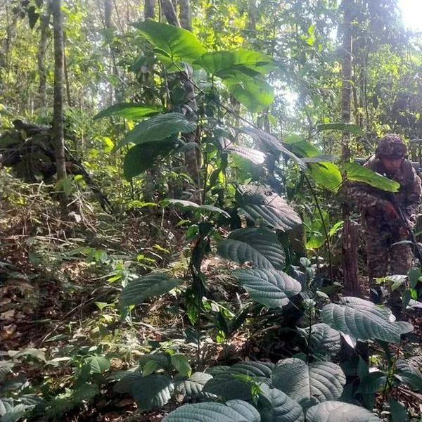 La violencia aumenta en Colombia a medida que se acercan las elecciones legislativas