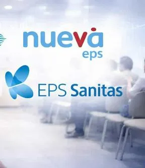 Imagen representativa del artículo