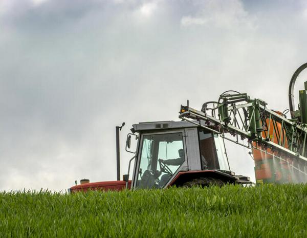 imagen principal home