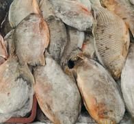 Inspección en la Galería de Manizales: retiran de circulación 11,5 kilos de pescado en mal estado