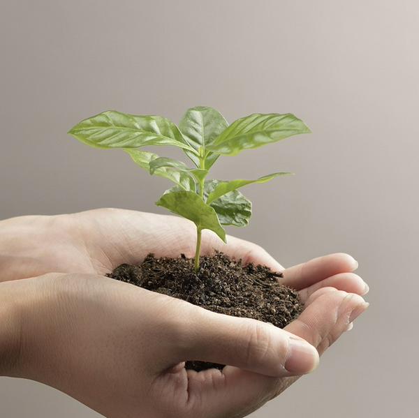 imagen principal home