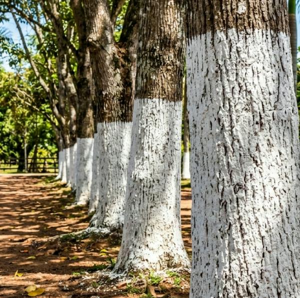 imagen principal home