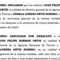 Ordenan arresto de Felipe Harman, director de la ANT, por desacato a una tutela