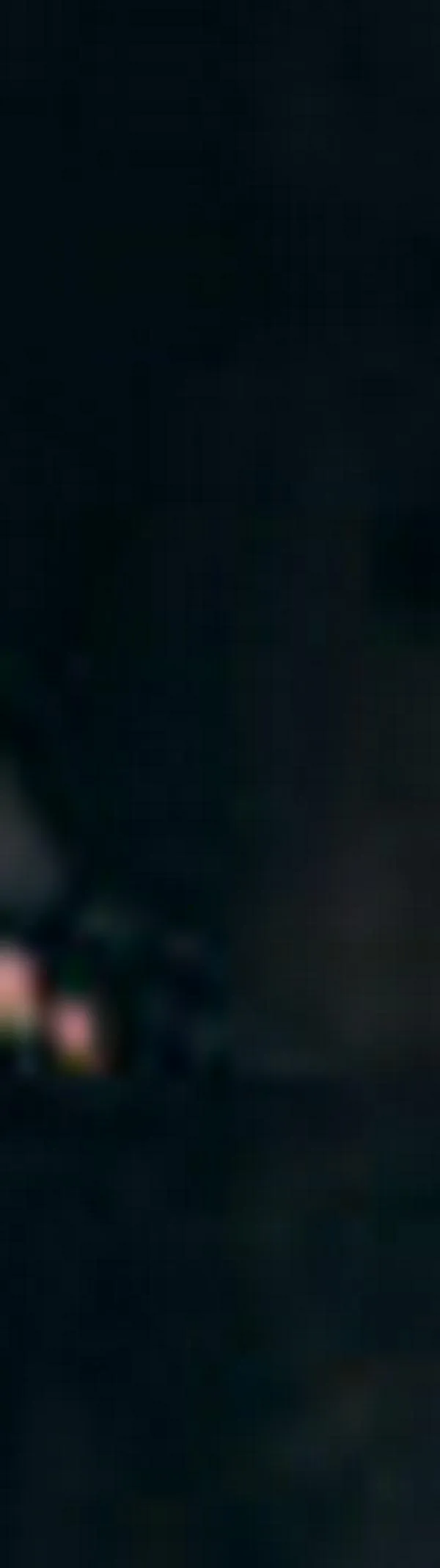 Alerta en Cali por convocatorias para combatir en conflictos internacionales