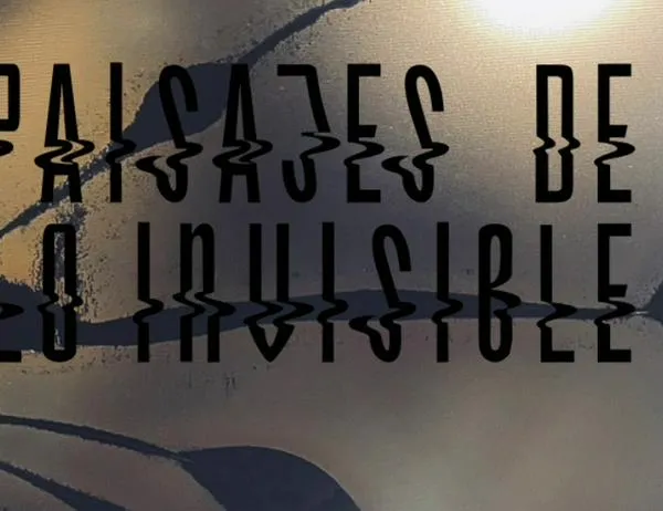 Exposición Paisajes de lo invisible: una reflexión artística sobre los desechos tecnológicos llega al MAMU de Bogotá 