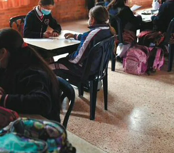 Las mujeres representan el 65 % de los docentes de Colombia 