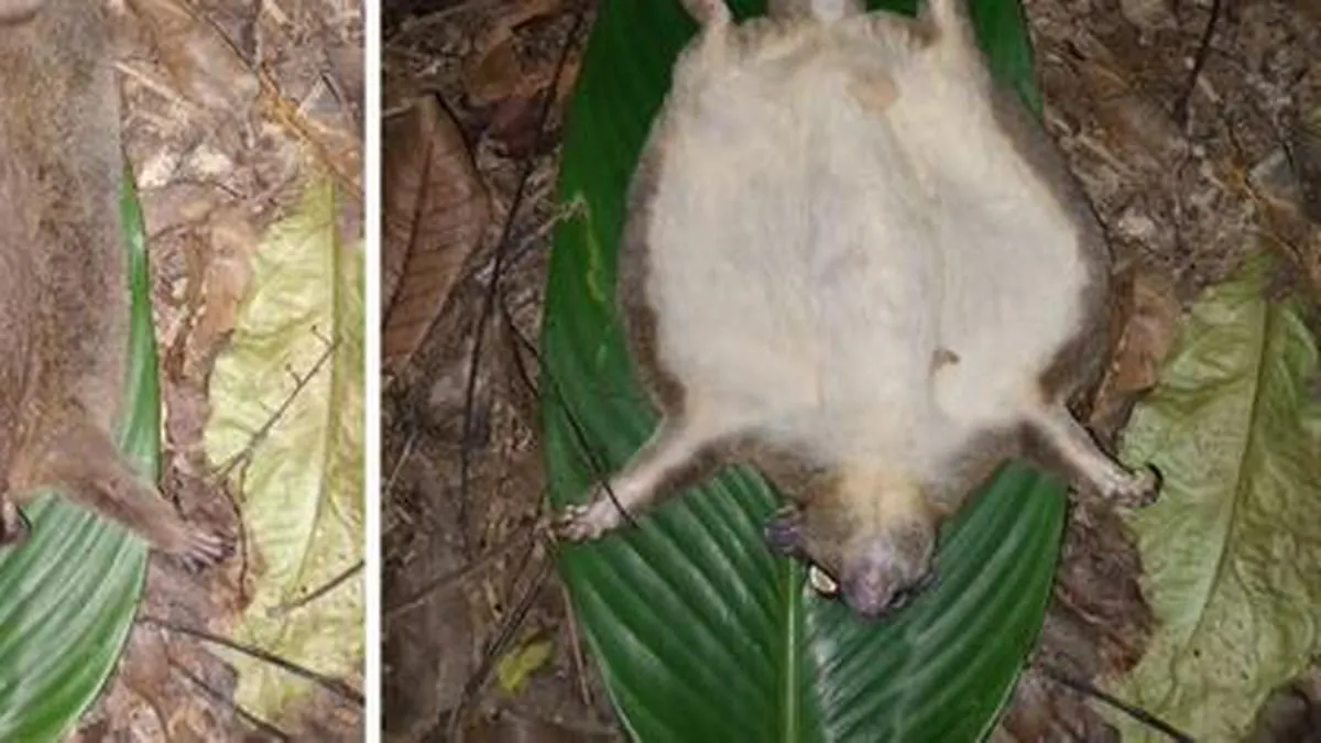 Imagen representativa del artículo